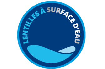 logo des lentilles de contact à surface d'eau