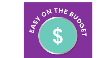 Easy on the budget icon featuring a dollar sign